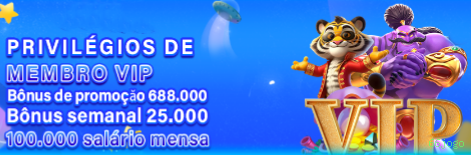 Suporte VIP 66jogo - atendimento prioritário